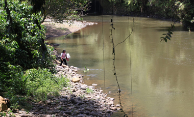 Researchers find microplastics in fish from two Ecuadorian Amazon rivers