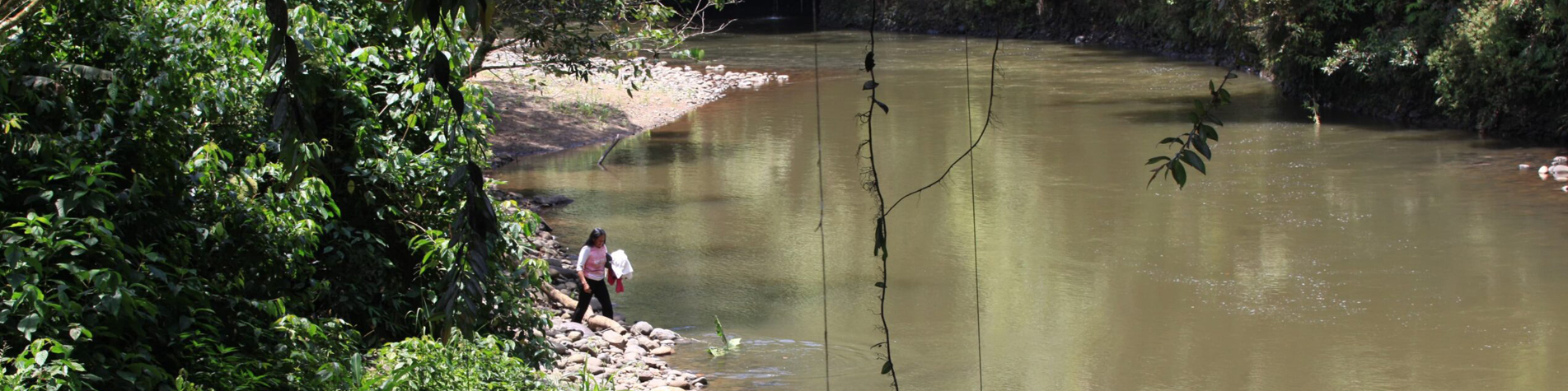 Researchers find microplastics in fish from two Ecuadorian Amazon rivers