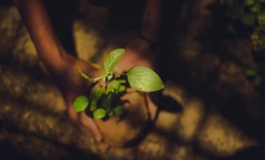 Imagination is the key to sustainability: Innovation from Landopp