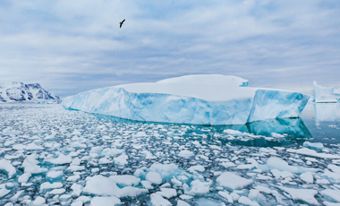 Silent Threat: Plastic Microbes in Antarctica
