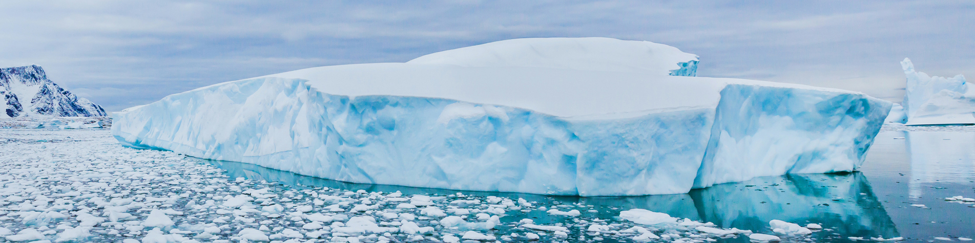 Silent Threat: Plastic Microbes in Antarctica Silent Threat: Plastic Microbes in Antarctica