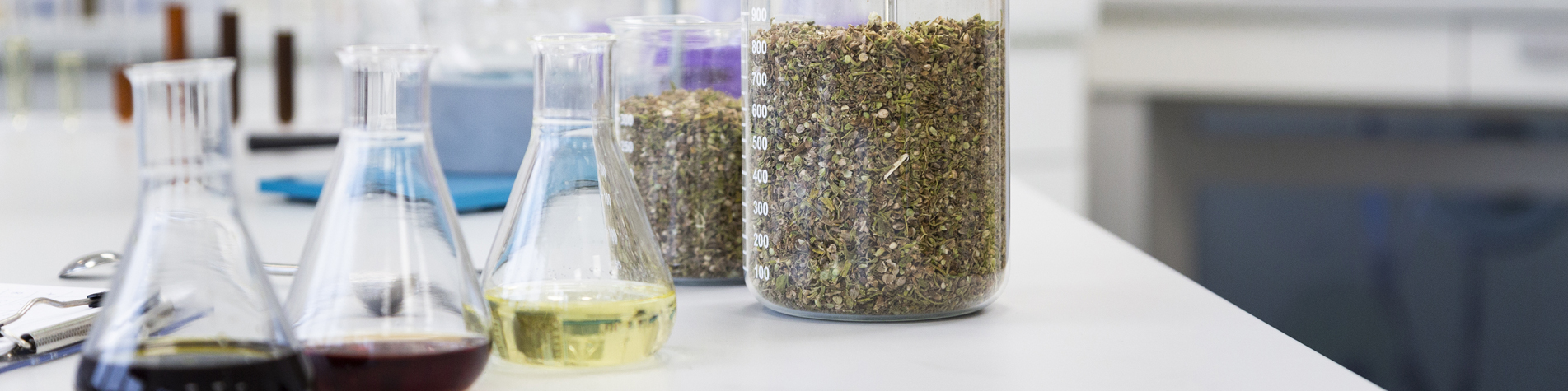 The different bioplastics and their applications: a sustainable solution for every need
