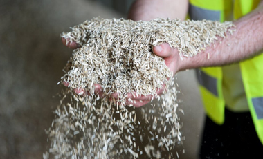 Hemp: A crop with a future