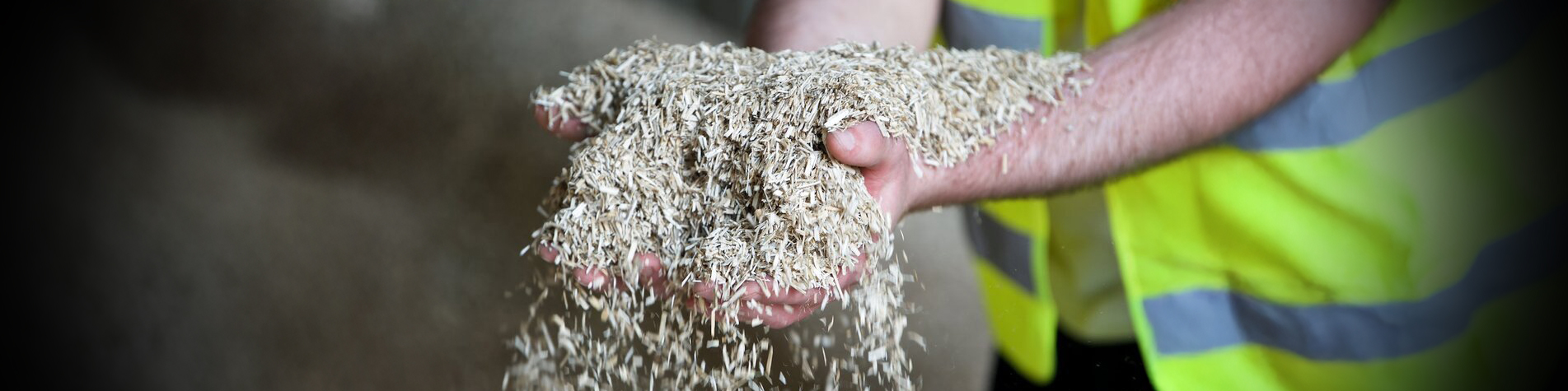 Hemp: A crop with a future Hemp: A crop with a future