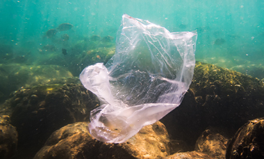 At the bottom of the sea: the garbage that betrays us